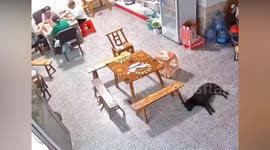 Runaway lorry tyre mows down group playing cards inside home