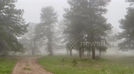 US: Thick fog reduces visibility in Evergreen