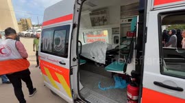 Five more Palestinians killed in Israeli army fire in Gaza