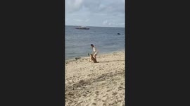 Beachgoer takes wholesome selfies with stray dog