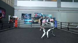 China: World's first robot boxing contest packs punch to optimize future algorithms