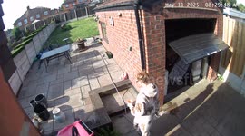 Woman Bonks Head On Open Garage Door