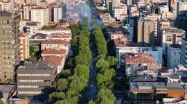 Türkiye: Fans flock to streets as Fenerbahce Beko marks 2nd Euroleague title (2)