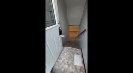 Hidden in plain sight—Realtor’s encounter with an unbelievable in-ground home