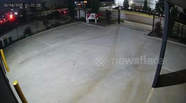 Australia: Life Size Fibreglass Cow Named Betsy Stolen In Melbourne Late Night Theft