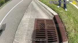 US: Ducklings Rescued From Storm Drain In Dramatic Florida Operation