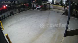 Police hunt thieves who stole model cow called Betsy from car park