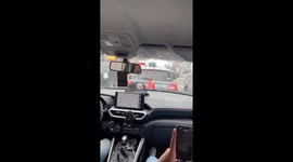 Shocked drivers see duck hanging from the back of car