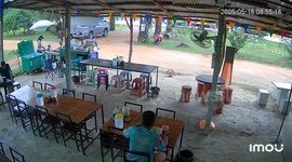 Loose tyre bounces across field before crashing into cafe