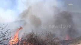 US, Los Angeles: Glendale Brand Park Brush Fire