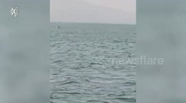 Israel: The Marine Police rescued a man and his son who had lost contact while sailing in a rubber dinghy in the Sea of Galilee