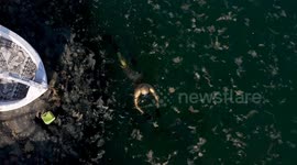 Türkiye: Mucilage alert: Türkiye’s top diver urges action for Marmara Sea