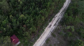 aerial view of elephant sanctuary