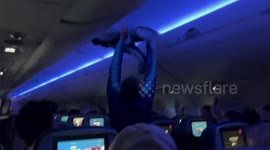 Pigeons cause chaos as it flies through Delta Airlines plane cabin