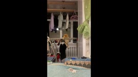 Cat displays acrobatic balance on drying rack in Heilongjiang, China