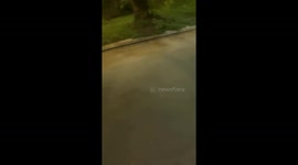 Man fails to jump over street sign in Córdoba, Argentina
