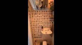 Bathroom hall of fame—Where every guest becomes part of the audience
