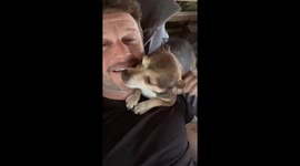 Sweet Dog Demands Nibbles