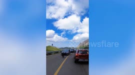 Goats hop over road's marking during busy highway crossing