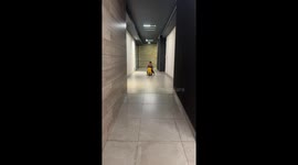 Boy Rides Motorcycle into Doorway