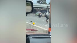 Motorist takes scared kitten trapped in middle of road to safety