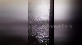 Argentina: Storm Unleashes Flood Catastrophe In Northern Argentina Town