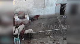 Spain: Illegal Meat Empire Exposed After Brutal Animal Abuse And Uncontrolled Slaughter Across Spain