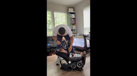 Dad treats baby's all-in-one stroller as F1 pit stop