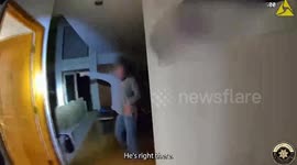 Unbothered Bobcat Ignores Lasers, Leaves Colorado Home Calmly