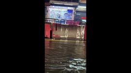Snake emerges on road during flash floods in Thailand