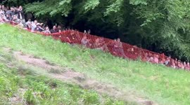 Cheese rolling race sparks brutal scenes as daredevils hurtle down hill