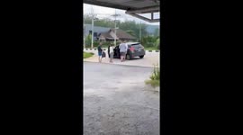 Taxi driver's wife sits in boot to make room for tourists