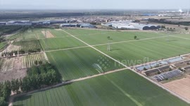 China: Chinese farmers use sprinkler robots to boost irrigation amid prolonged drought