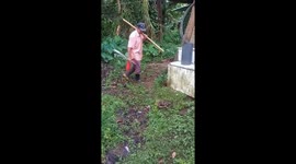Man startled by snake on the ground in Guápiles, Costa Rica