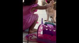 Little girl plays doctor with patient dog in Mexicali, Mexico