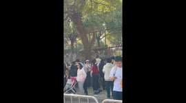 Fighting giraffes head butting each other shock zoo visitors in China