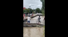 Villagers work together to save pregnant cow swept into river by flash flood