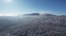 The sun is shining over a giant mountain covered in snow durig winter time. Forest all around and glittering snow