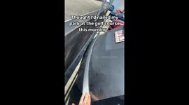Parking perfection turns to instant regret in viral 37 million viewed Instagram fail