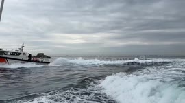Türkiye: Divers remove mucilage from Marmara Sea corals in environmental cleanup