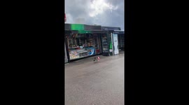 A bird confidently steals a bag of chips and starts to eat them after having reached a save distance to the shop