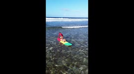 Pet dog learns to surf on crystal clear beach in the Philippines