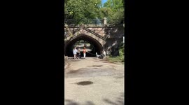 Dalmatian Howls Along to Saxophone