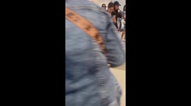 Pomeranian pooch greets mall-goers while walking on hind legs