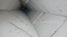 Trapped kittens rescued from narrow pillars
