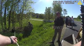 US: Wisconsin Deputies Chase Down Escaped Pig With Lasso And Bulldozer