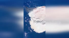 US: Shark Giants Feed Side By Side In Rare Peaceful Feast Off Hawaii