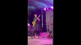 Drummer Gives Dog His Drumstick