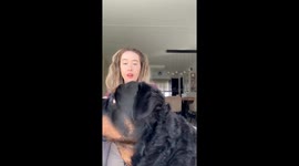 Dog takes a bite of Mango and drops it on the floor in Zwijndrecht, Netherlands