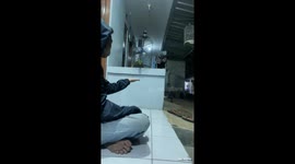 Cat snatches bird mid-air in South Tangerang, Indonesia